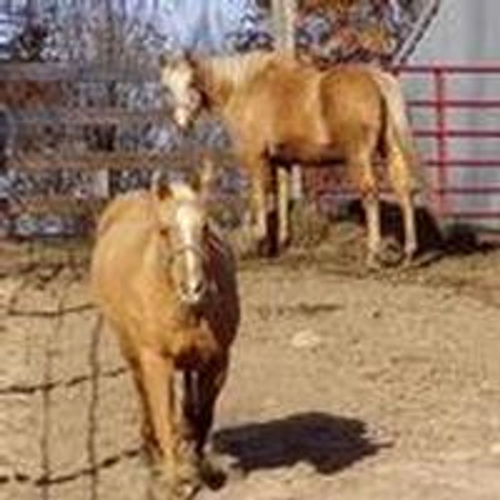 Wanda  Marie Vandermolen