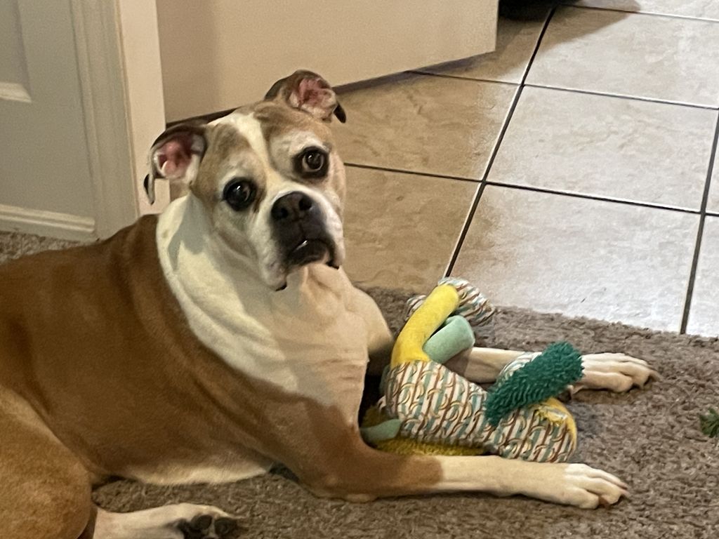 Baylee Profile Photo