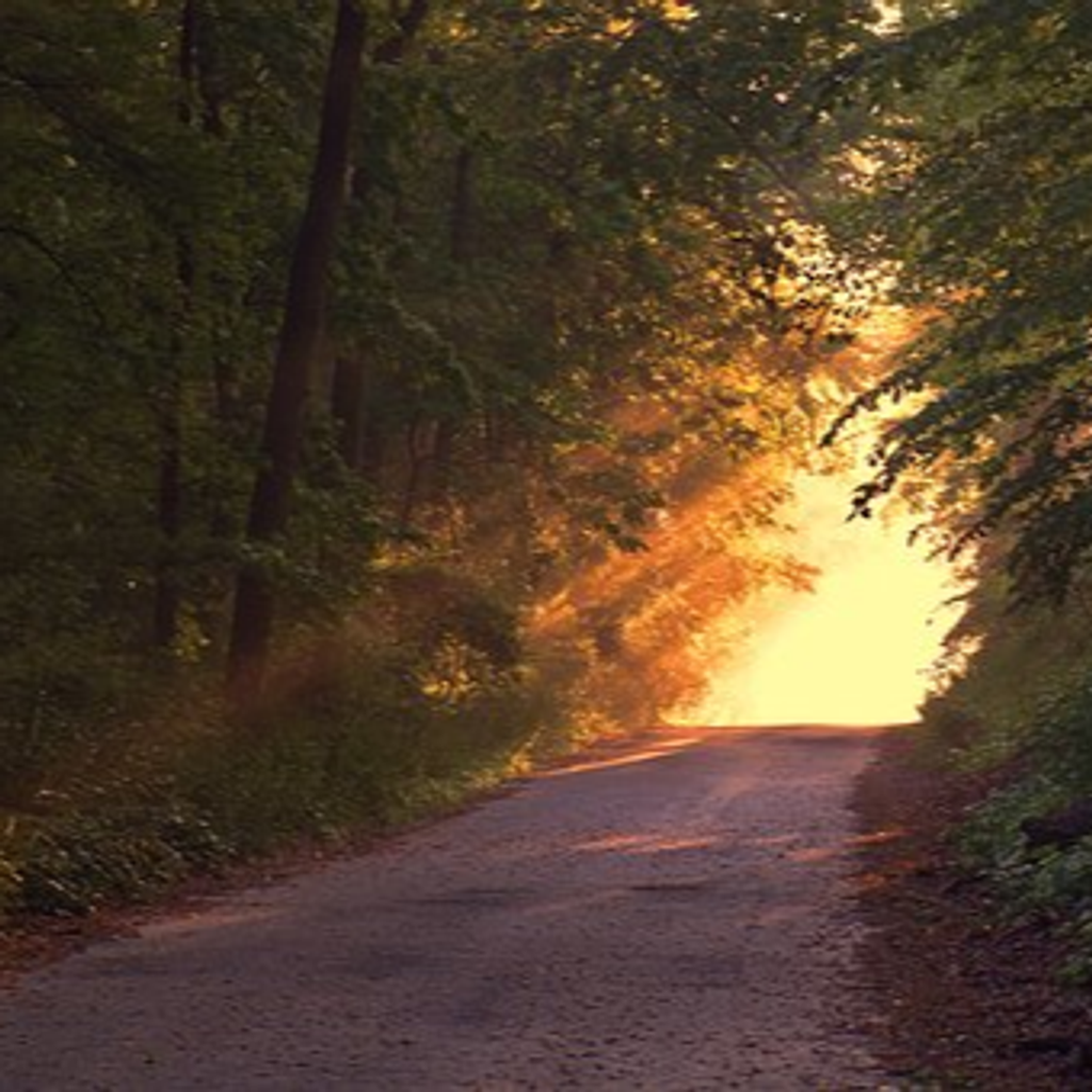 Harry Craig Lawson Profile Photo