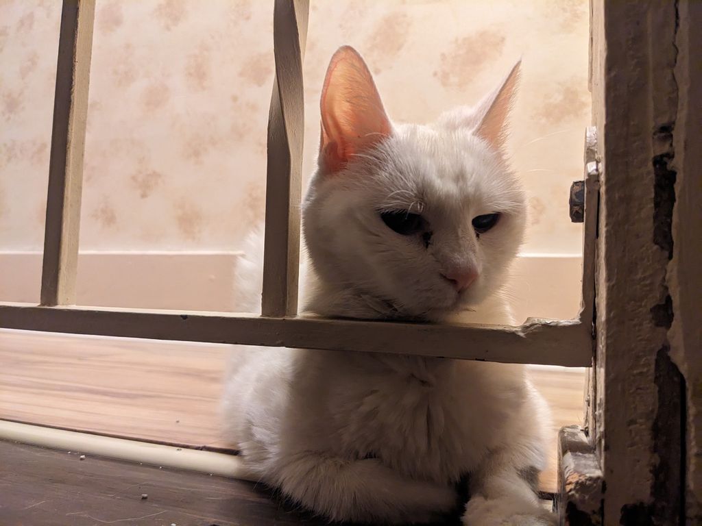 Yuki, The Ice Queen