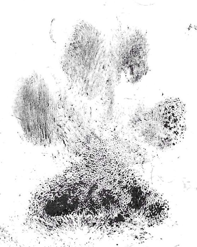 Tiffany Smith Profile Photo