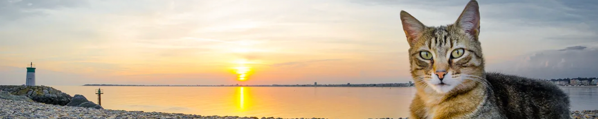 Cover for Michelle L. Hodgdon's Obituary