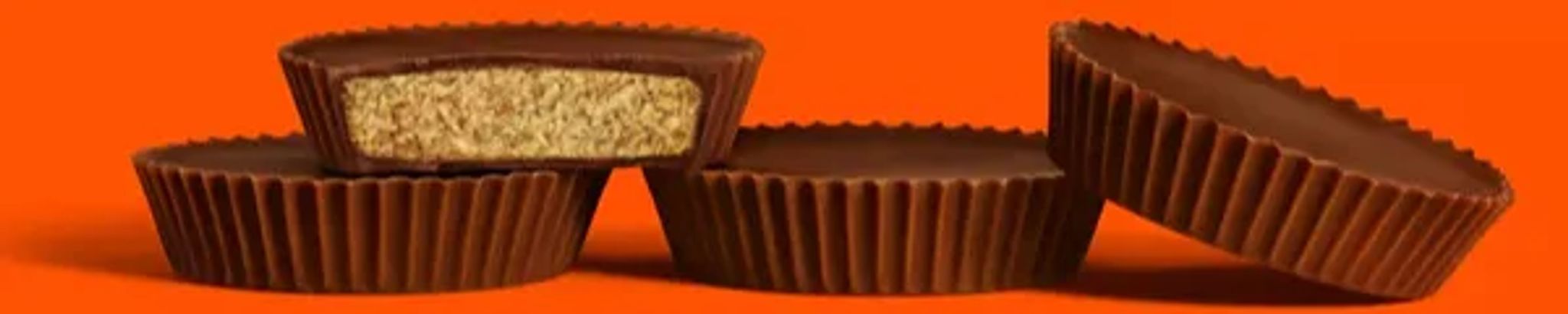 Cover for Julie Ann Hilts's Obituary