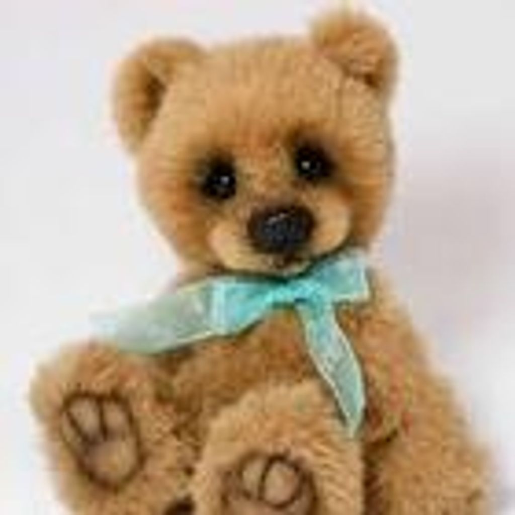 Annabelle Jean Stearns Profile Photo