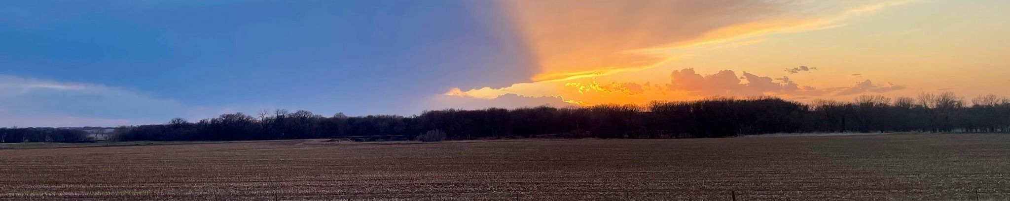 Cover for James Paul Topf Johnson's Obituary