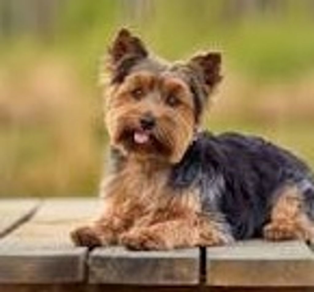 Janet Bodine Profile Photo