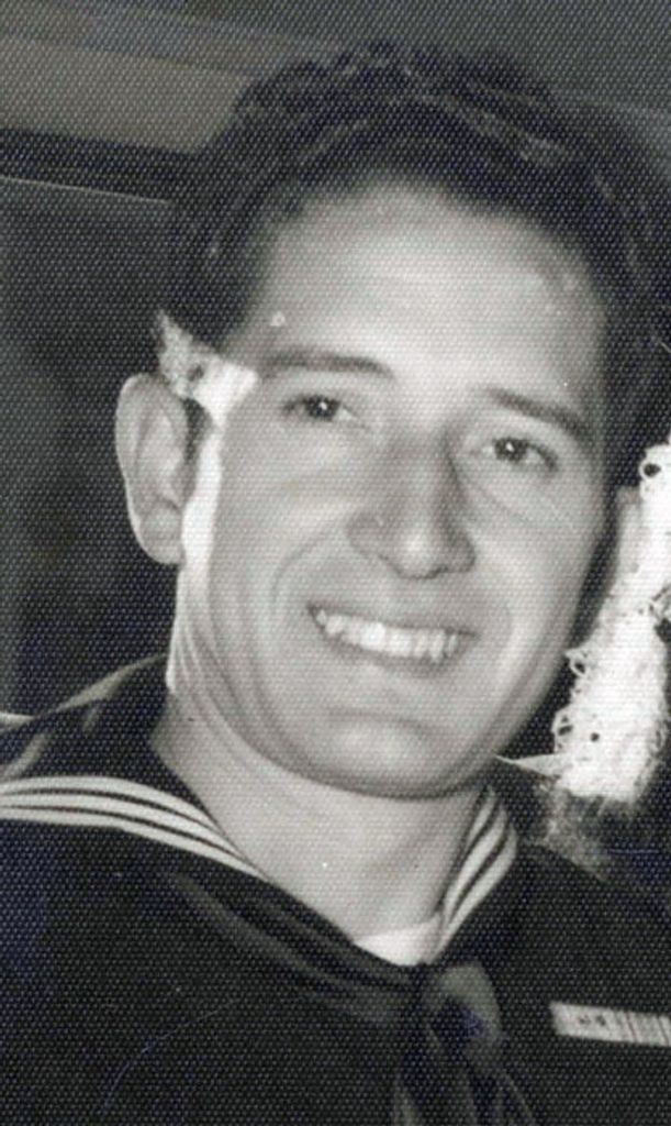 Vincent J. Maddalena