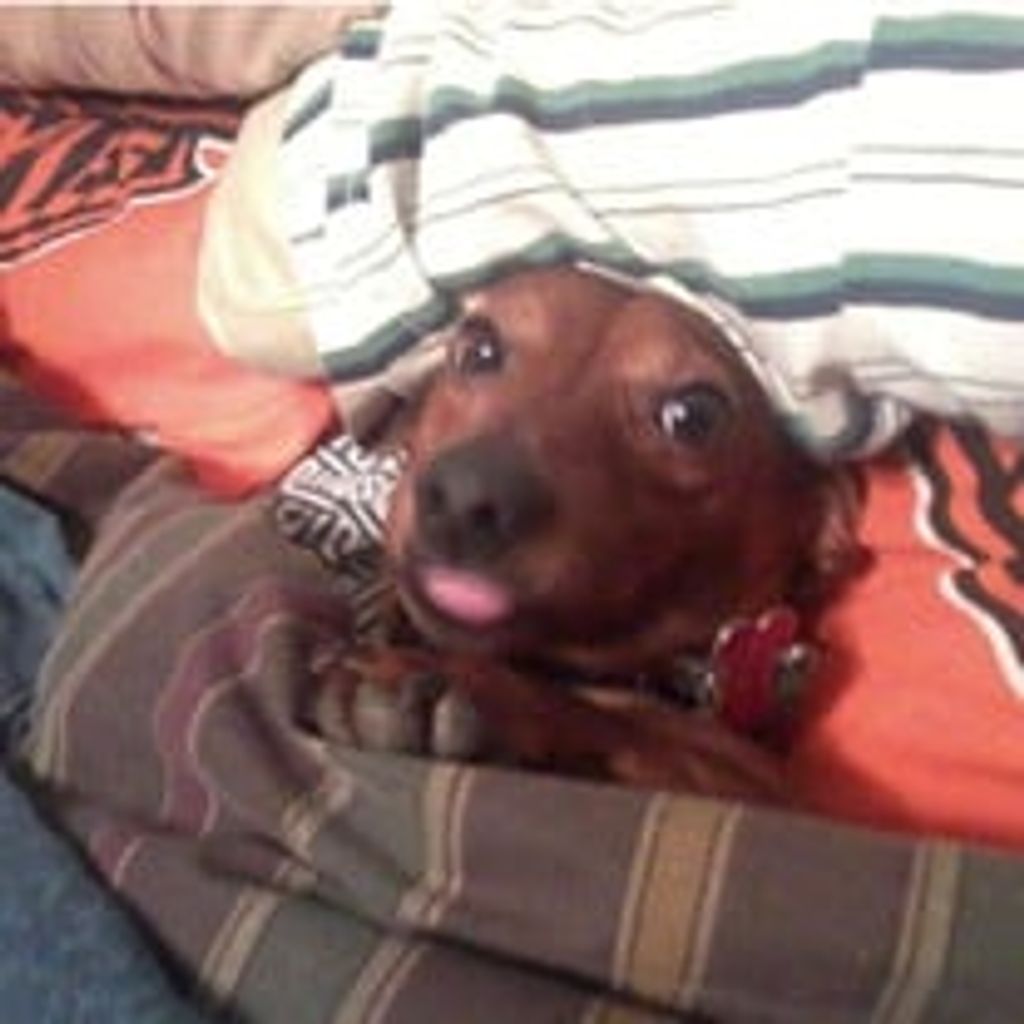 Peanut