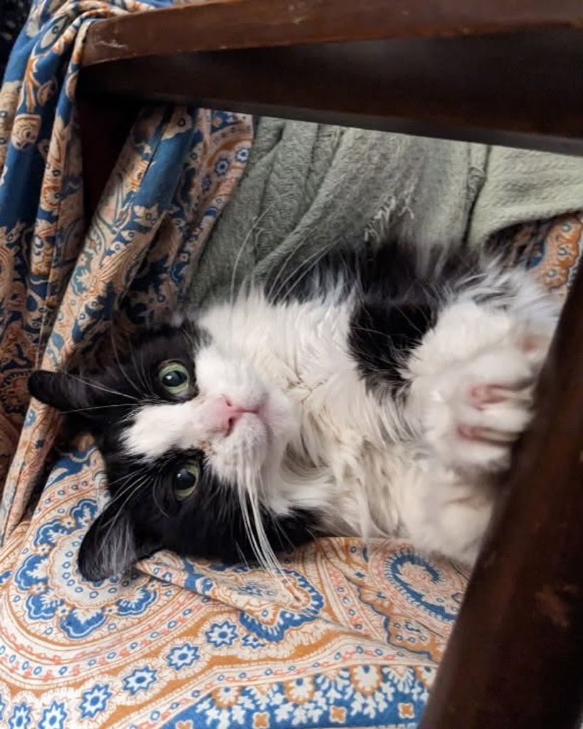 Prue Profile Photo