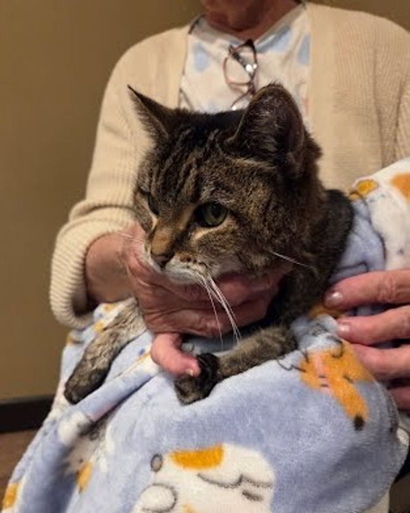 Baby Ruth Hopper Profile Photo