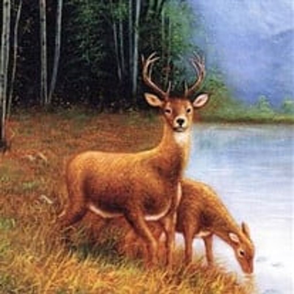 Kenneth Duane Anderson, Sr.