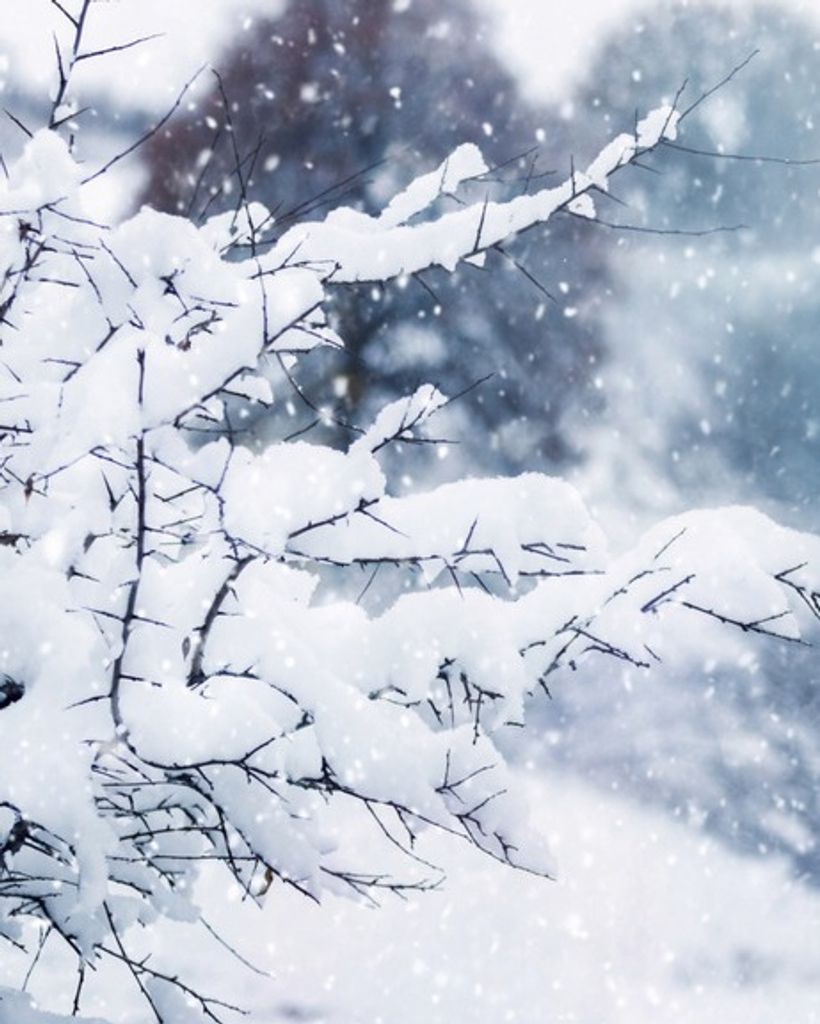 John W. Vanhoose, Sr.