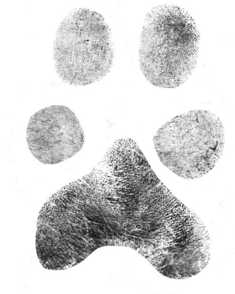 Jax Franklin Profile Photo