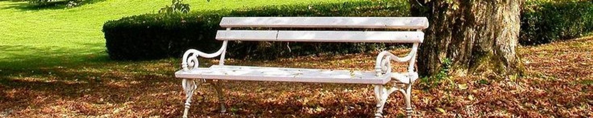 Cover photo for Diane "Dyan" Irene (Yovich) Boli's Obituary