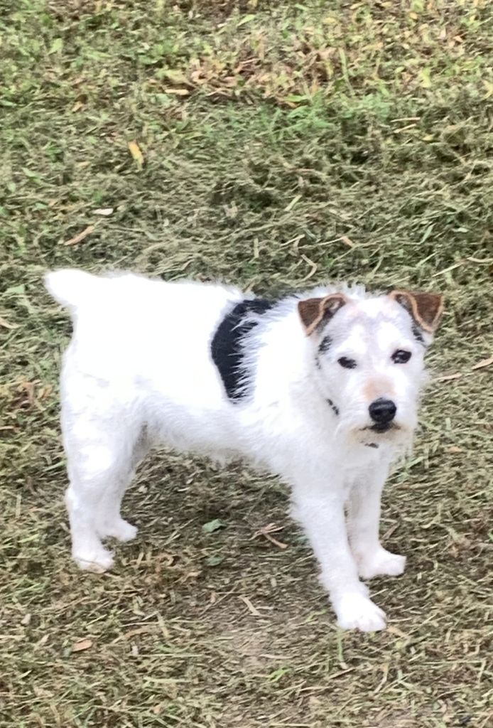 Duncan Profile Photo