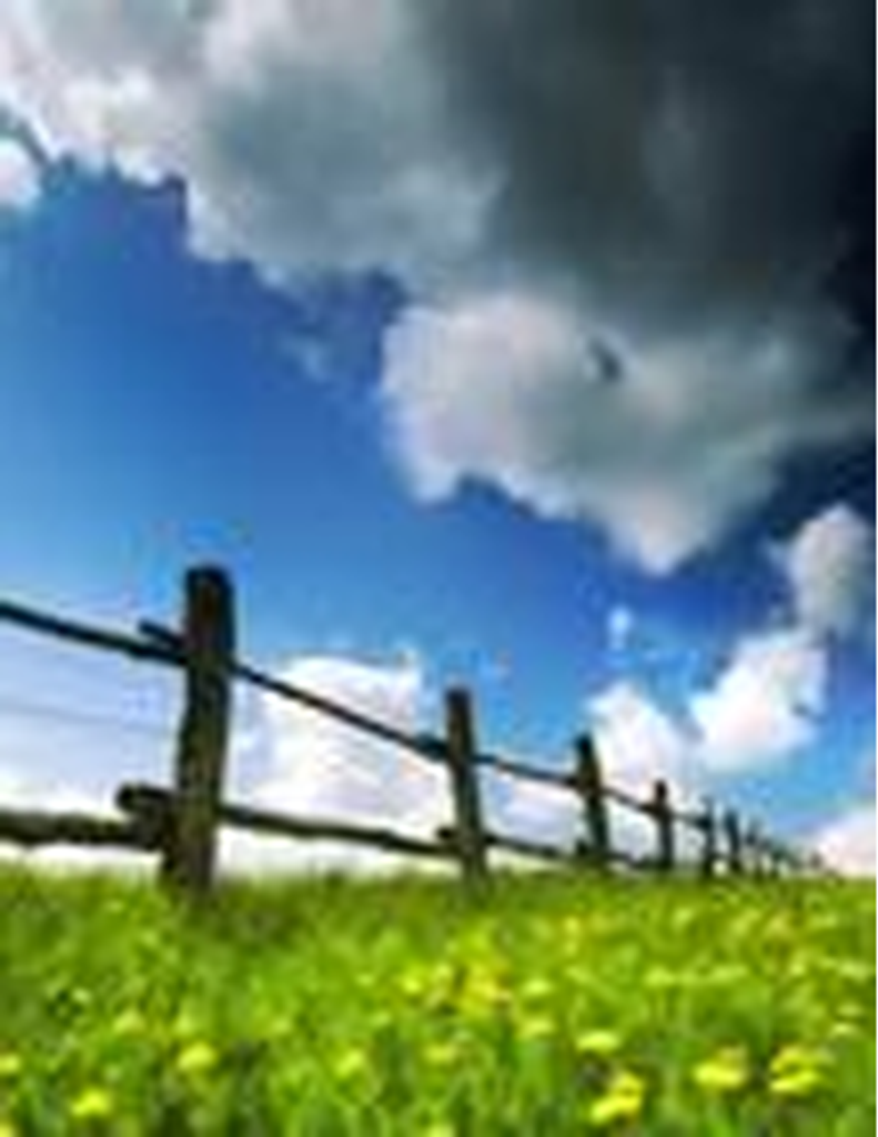 Wanita Spencer Hawkins