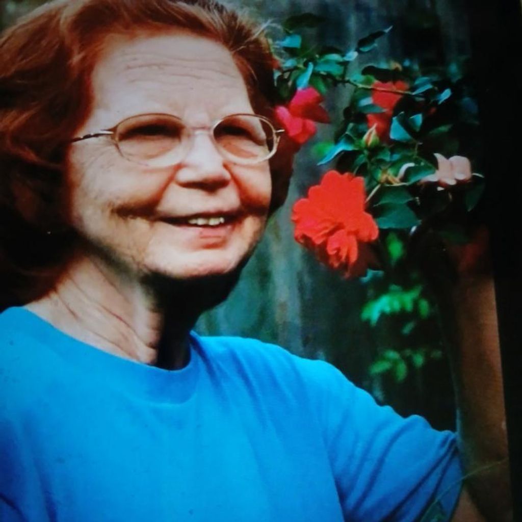 Aileen Theiss Mercer Profile Photo