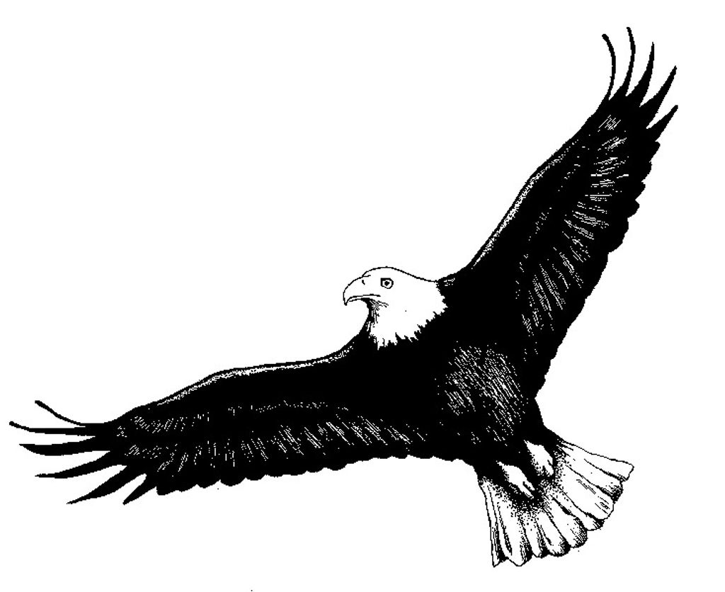 Douglas G. Schreiber Profile Photo