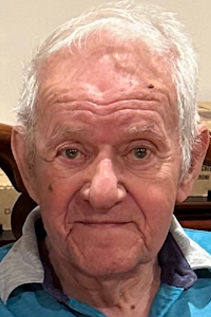 Dominic J. Dimartino