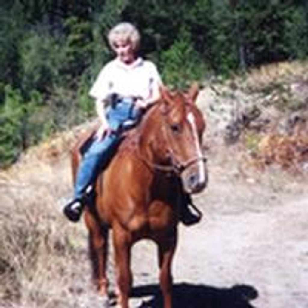 Lorraine (Lori) F. Liverance