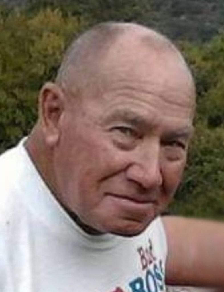 Dennis L. Kauffman