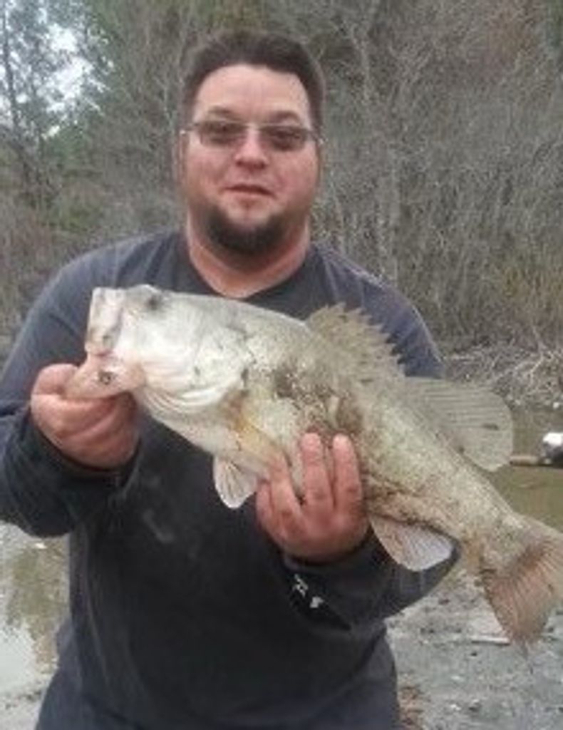 Jason Bridges Profile Photo