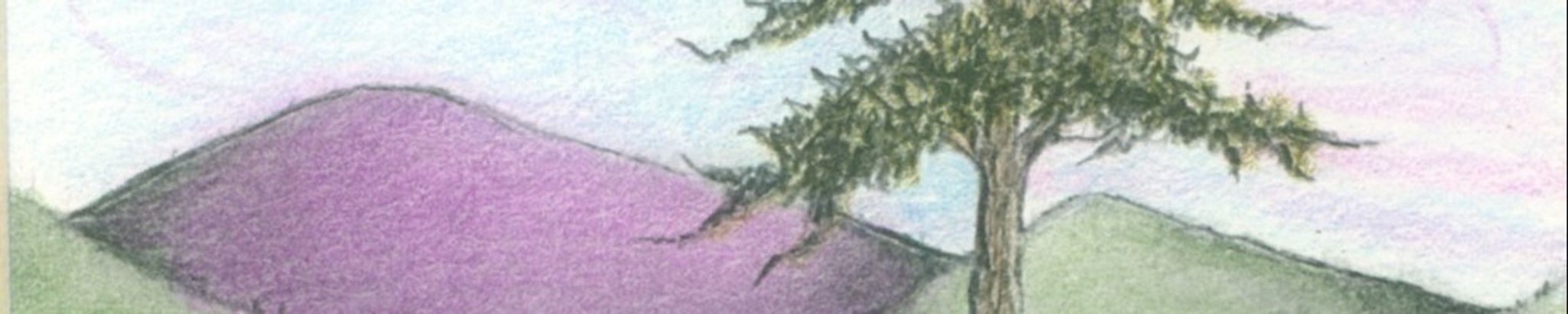 Cover photo for John A. DeAmicis's Obituary