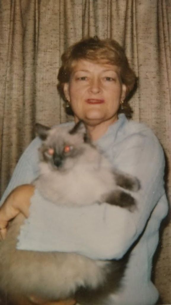 Cynthia Jo Pursell Profile Photo