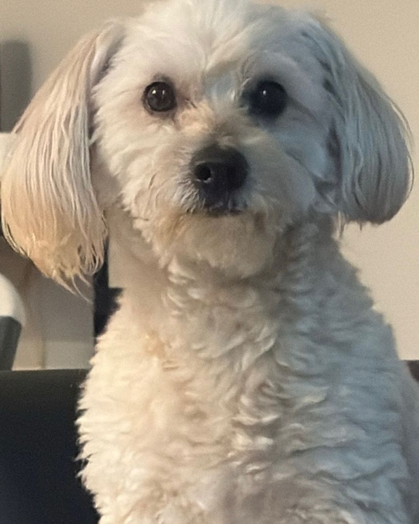 Marley 🖤 Profile Photo