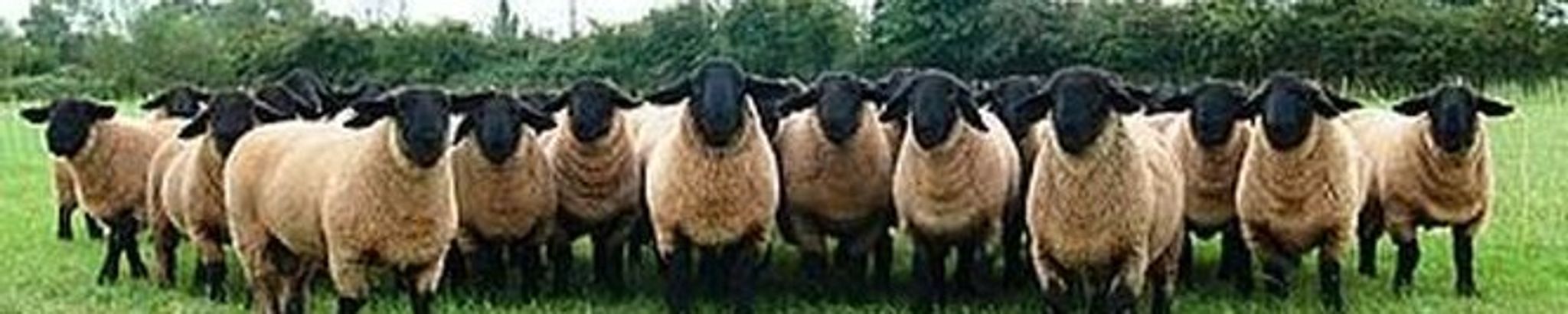 Cover for Gerald L. Powell's Obituary