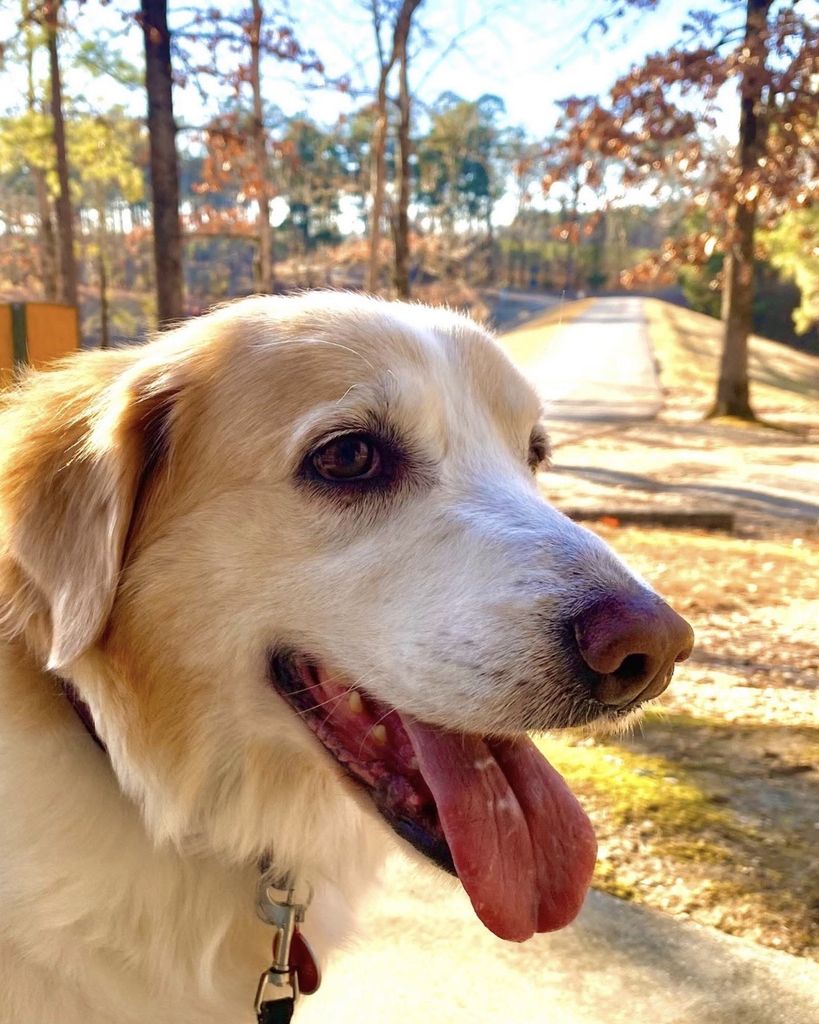 Soiee Cheatham Profile Photo