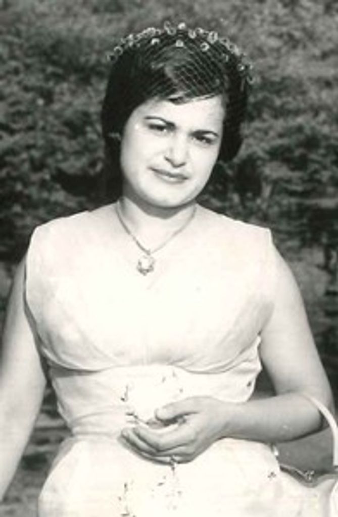Lucia Piccirillo-Tommasecchia (Falco, Delcorvo) Profile Photo