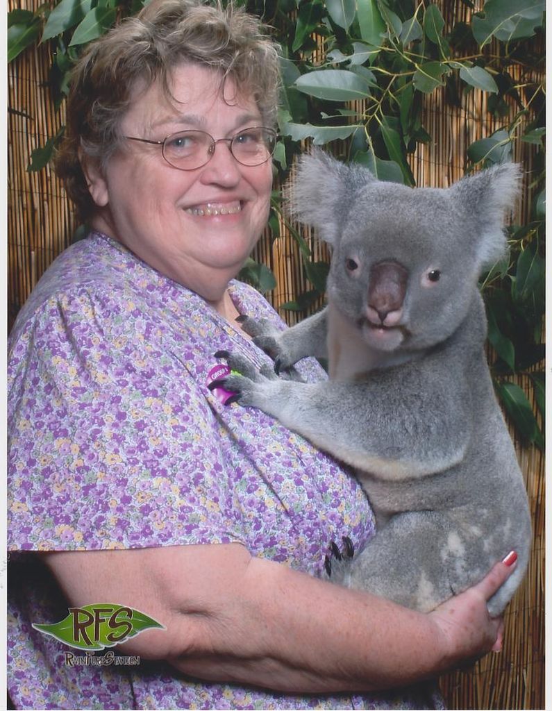 Maryann Casey Profile Photo