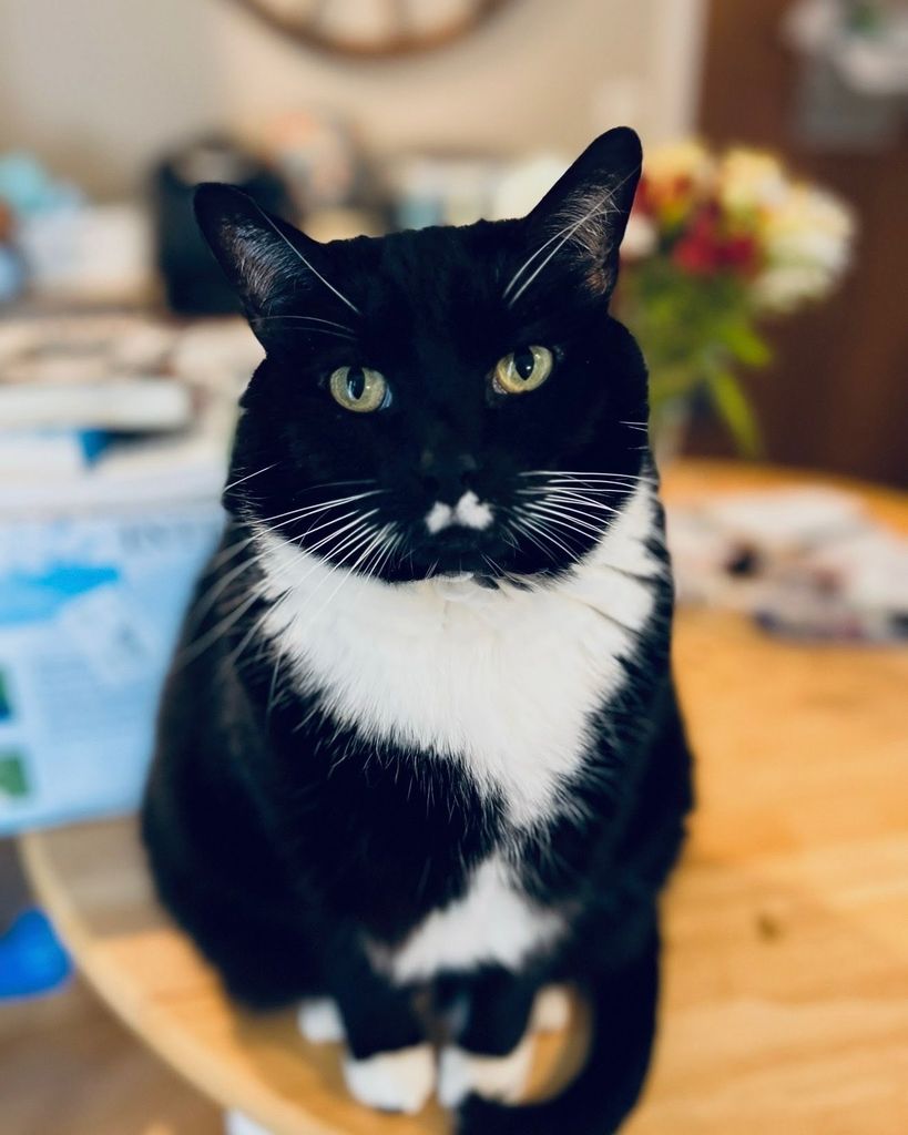 Kiki Rawe Profile Photo