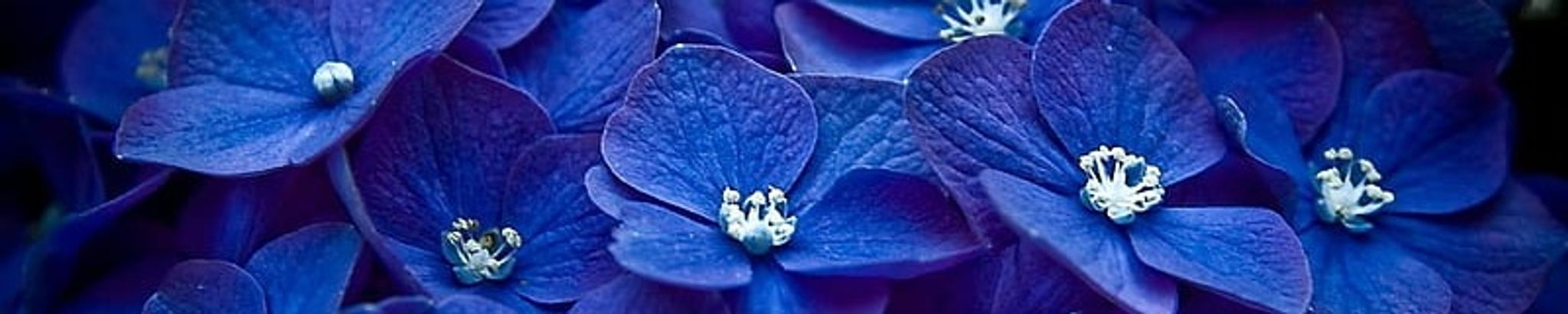 Cover photo for Manuela Carmina Palma Luna's Obituary