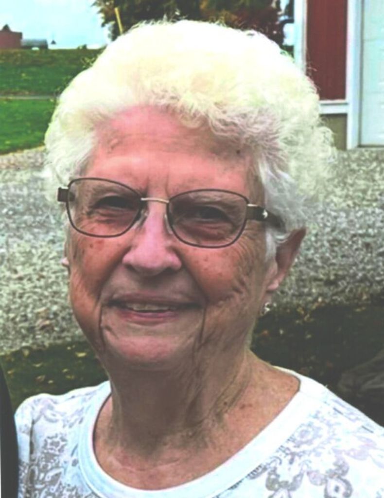 Donna J. (Gross)  Seifert Profile Photo