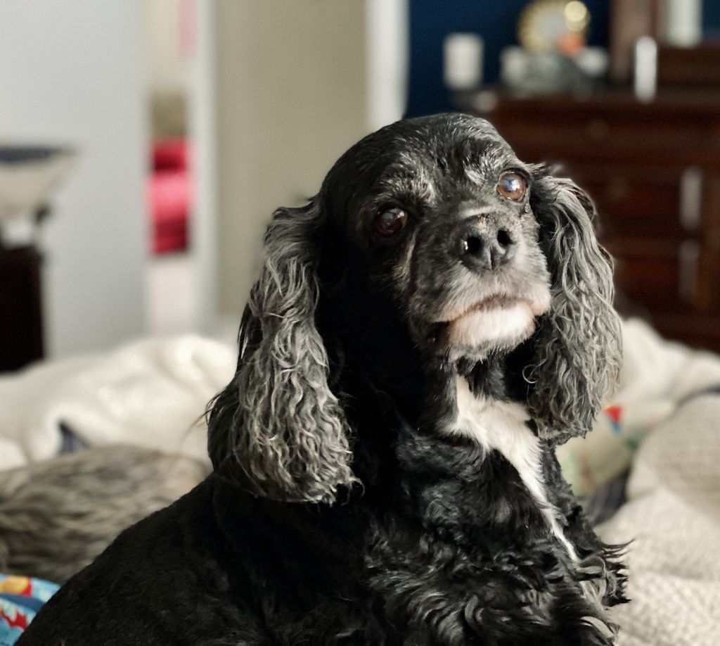 Sadie Wolfe Profile Photo