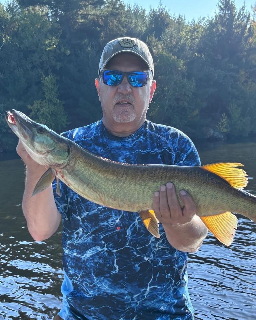 Michael A. Jung Profile Photo