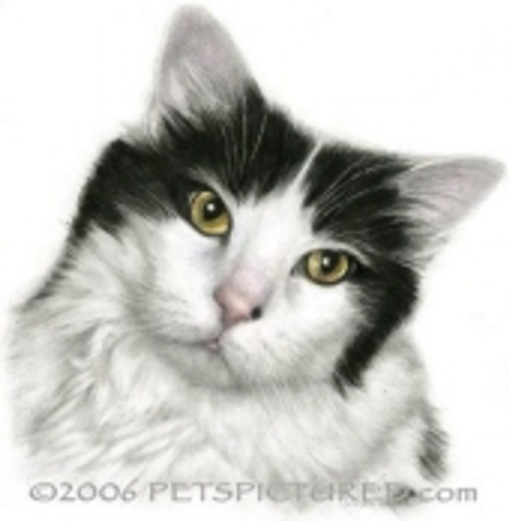 Buddy Vannortwick Profile Photo