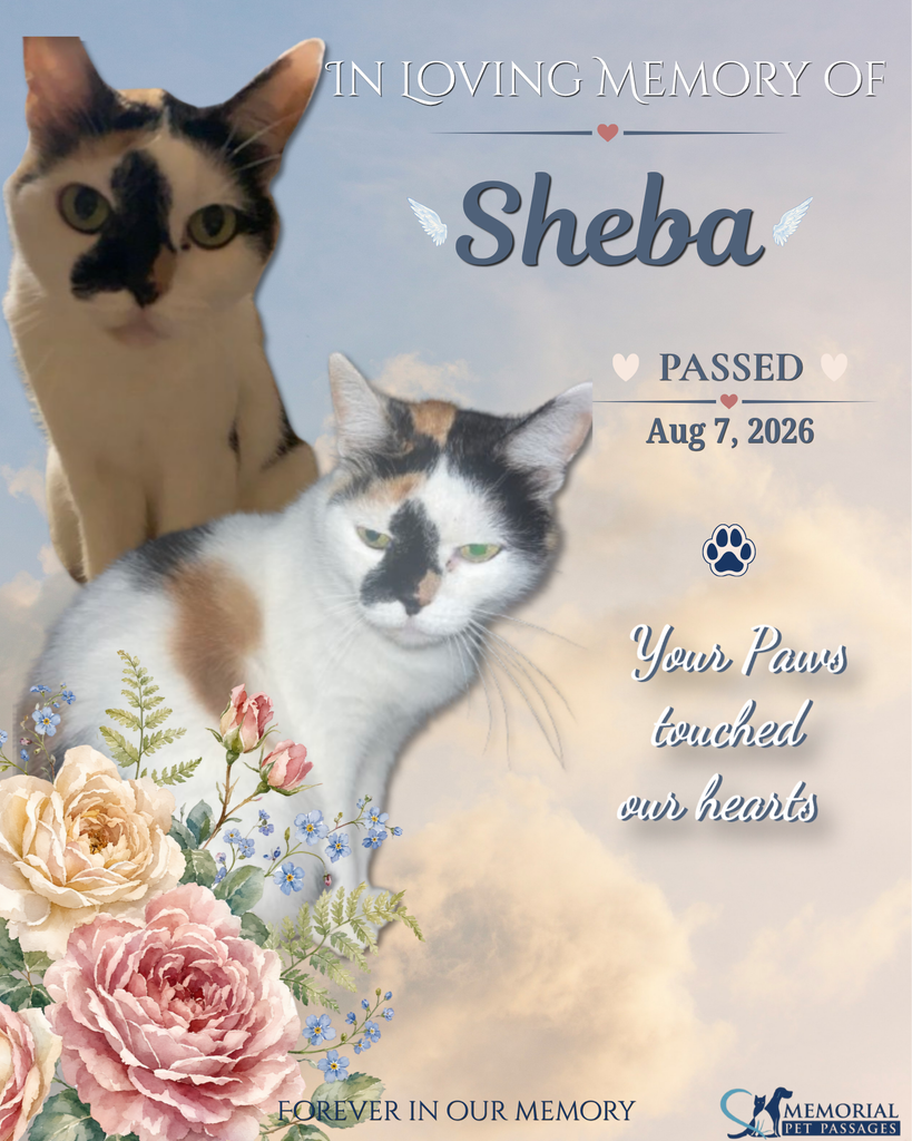 Sheba