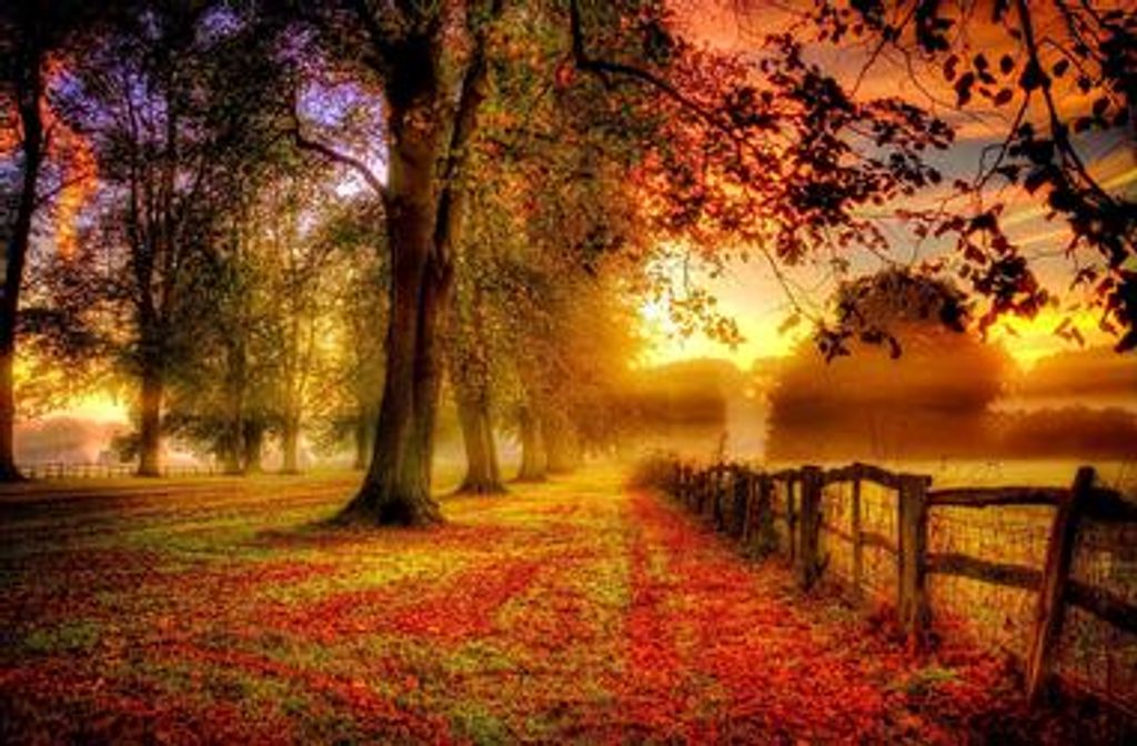 Earl M. Wilson, Jr. Profile Photo