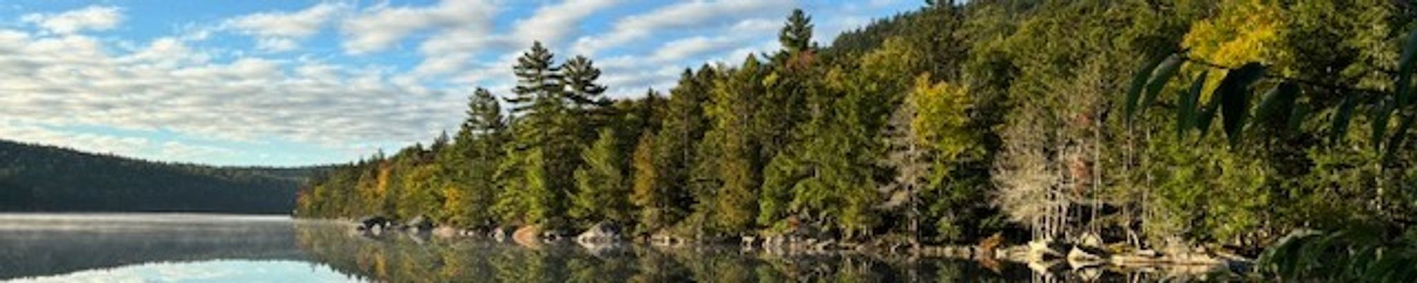 Cover for Terri Estey-Rucevice's Obituary