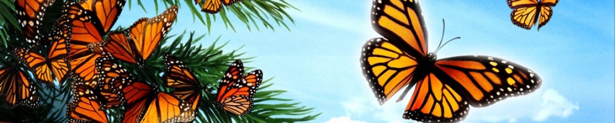 Cover photo for Rose Marie Lucero's Obituary