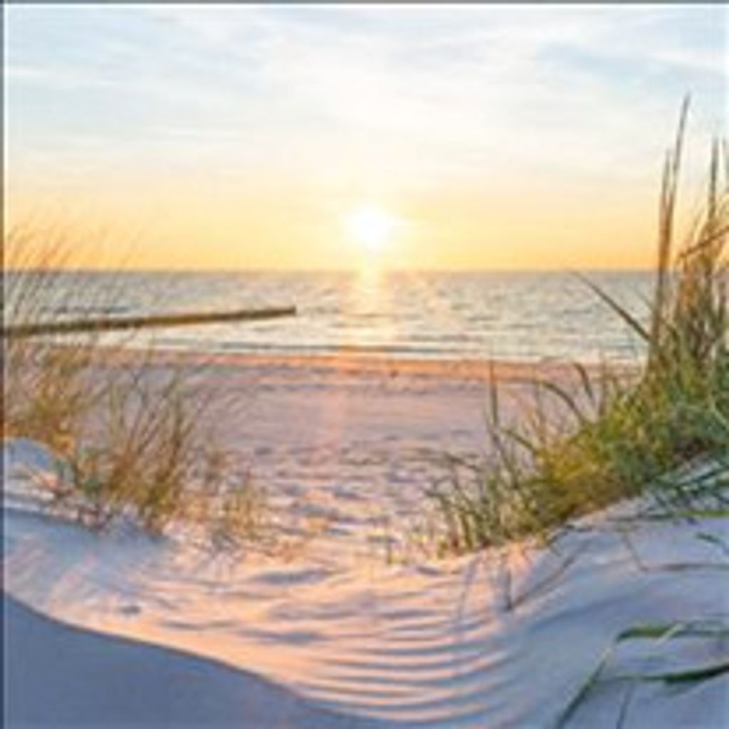 Cheryl L Balderson