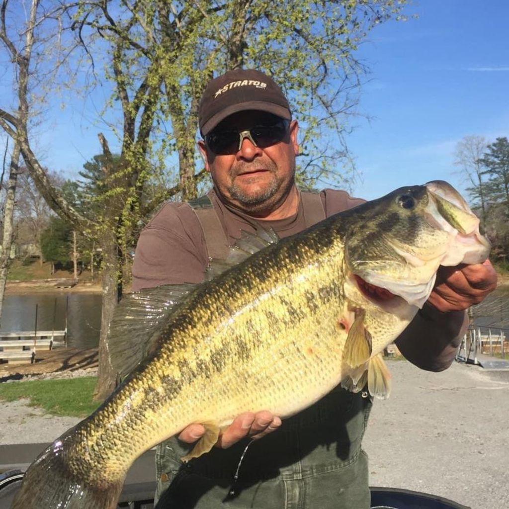 Chuck Levie Keltch Profile Photo