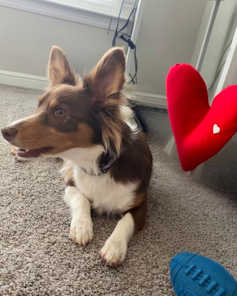 Chocolate Gerardino Arevalo