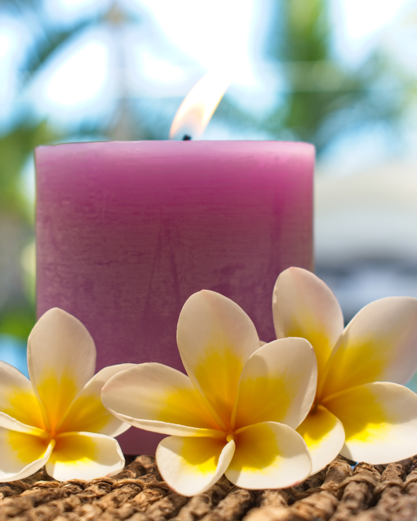 Barbara McBee Profile Photo