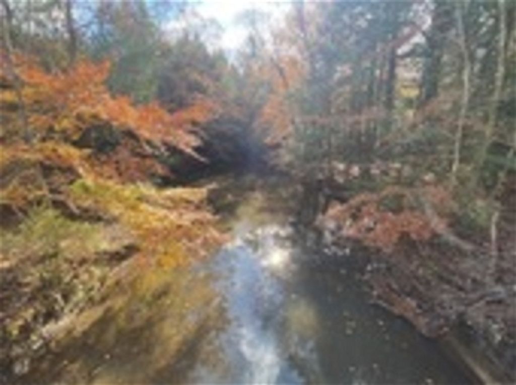 Fred S. Friday Profile Photo