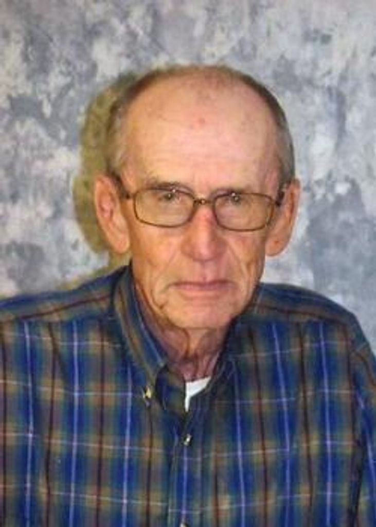 Dennis Rothchild Profile Photo
