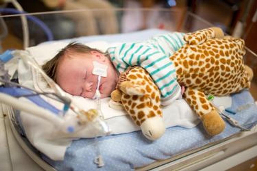 Aayden Alexander Bradford